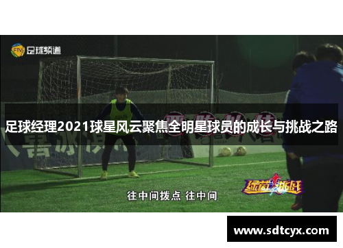 足球经理2021球星风云聚焦全明星球员的成长与挑战之路