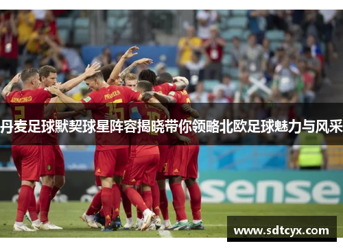 丹麦足球默契球星阵容揭晓带你领略北欧足球魅力与风采