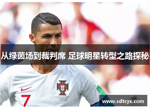 从绿茵场到裁判席 足球明星转型之路探秘
