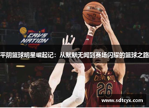 平阴篮球明星崛起记：从默默无闻到赛场闪耀的篮球之路