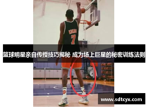 篮球明星亲自传授技巧揭秘 成为场上巨星的秘密训练法则