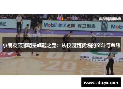 小朋友篮球明星崛起之路：从校园到赛场的奋斗与荣耀